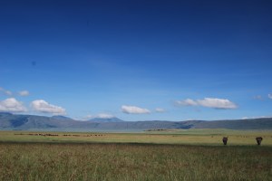 The Ngorongoro Conservation Area is a conservation area and a UNESCO World Heritage Site located 180 km west of Arusha in the Crater Highlands area of Tanzania. 