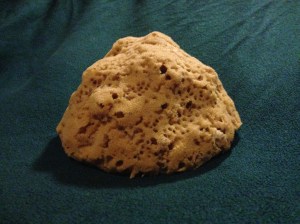 A Tarpon Springs sponge.