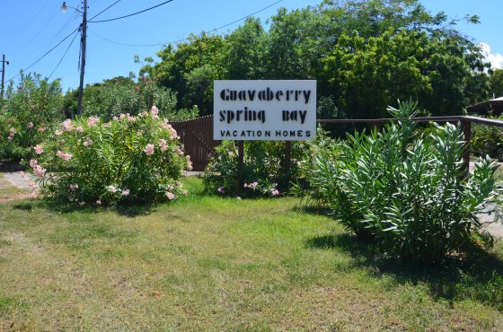 Guavaberry Spring Bay Sign