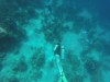 Our First Dive