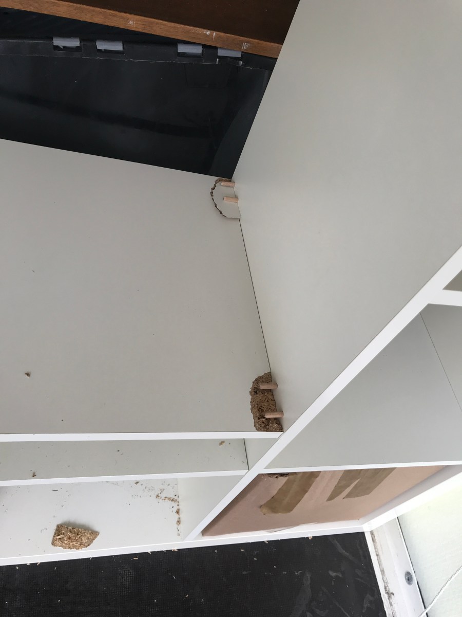 Broken entertainment center