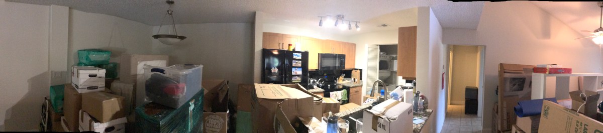 Our apartment, full of boxes